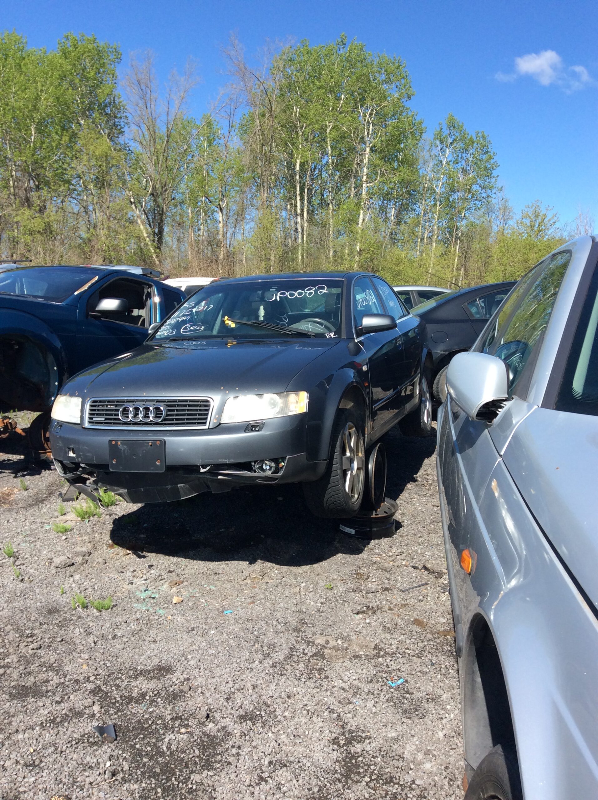 Car 113