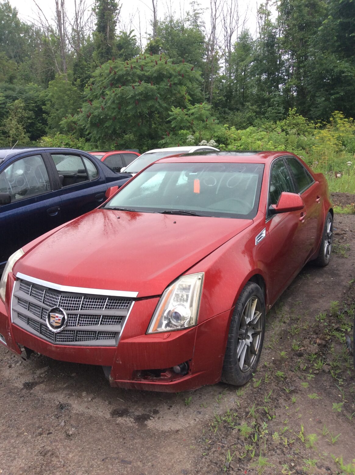 Car 226