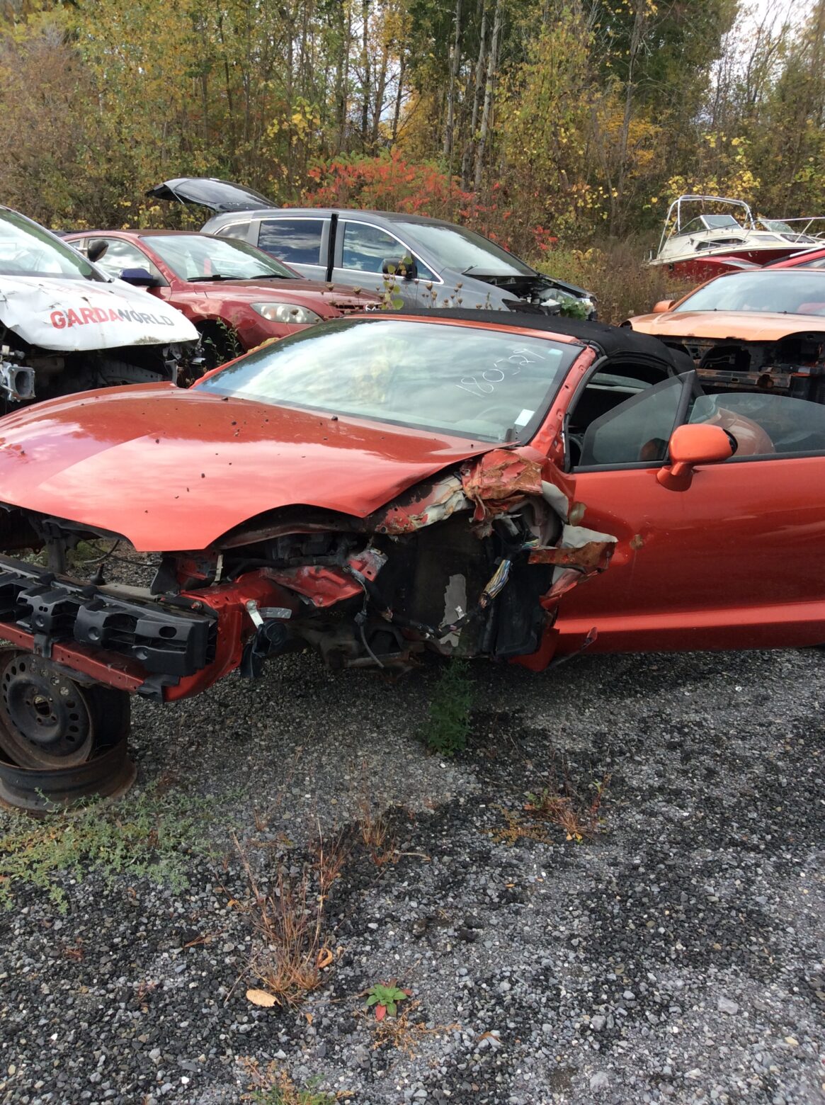 Car 355