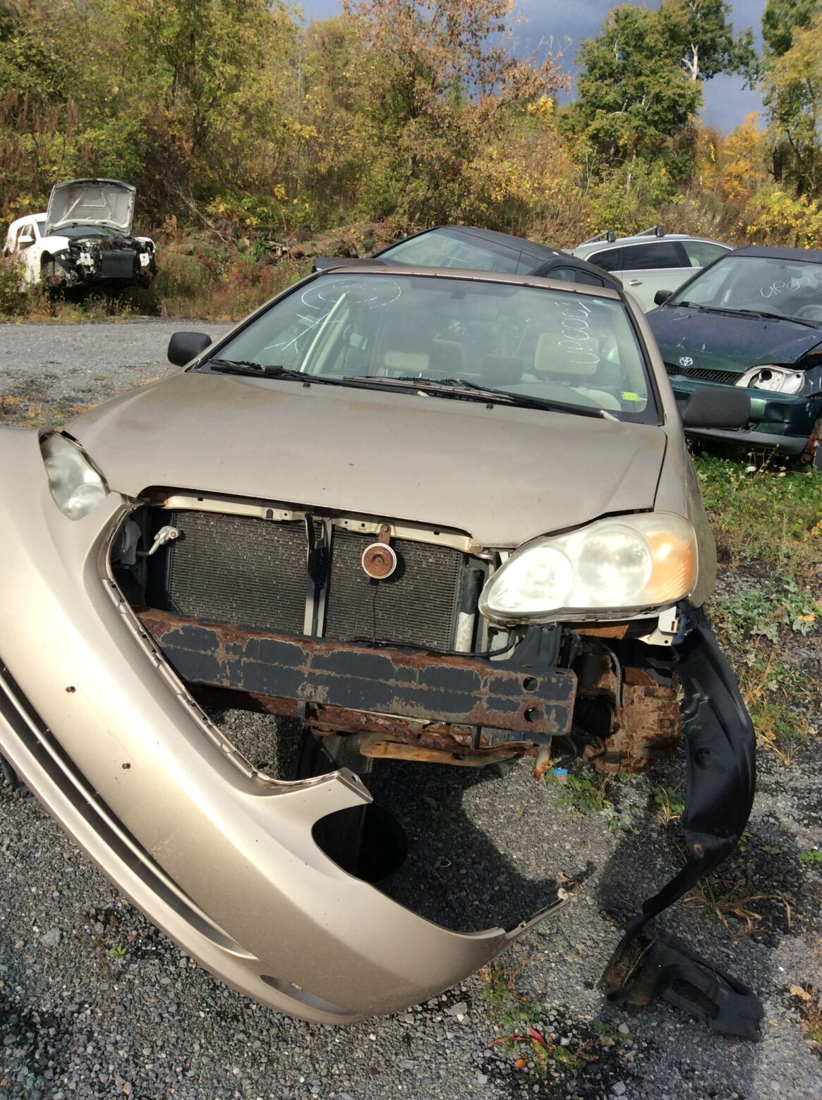 Car 31
