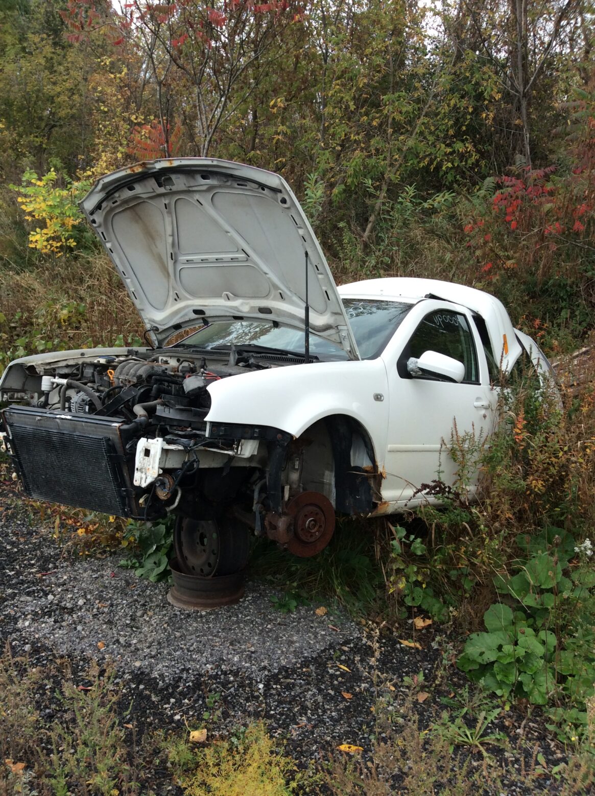 Car 34
