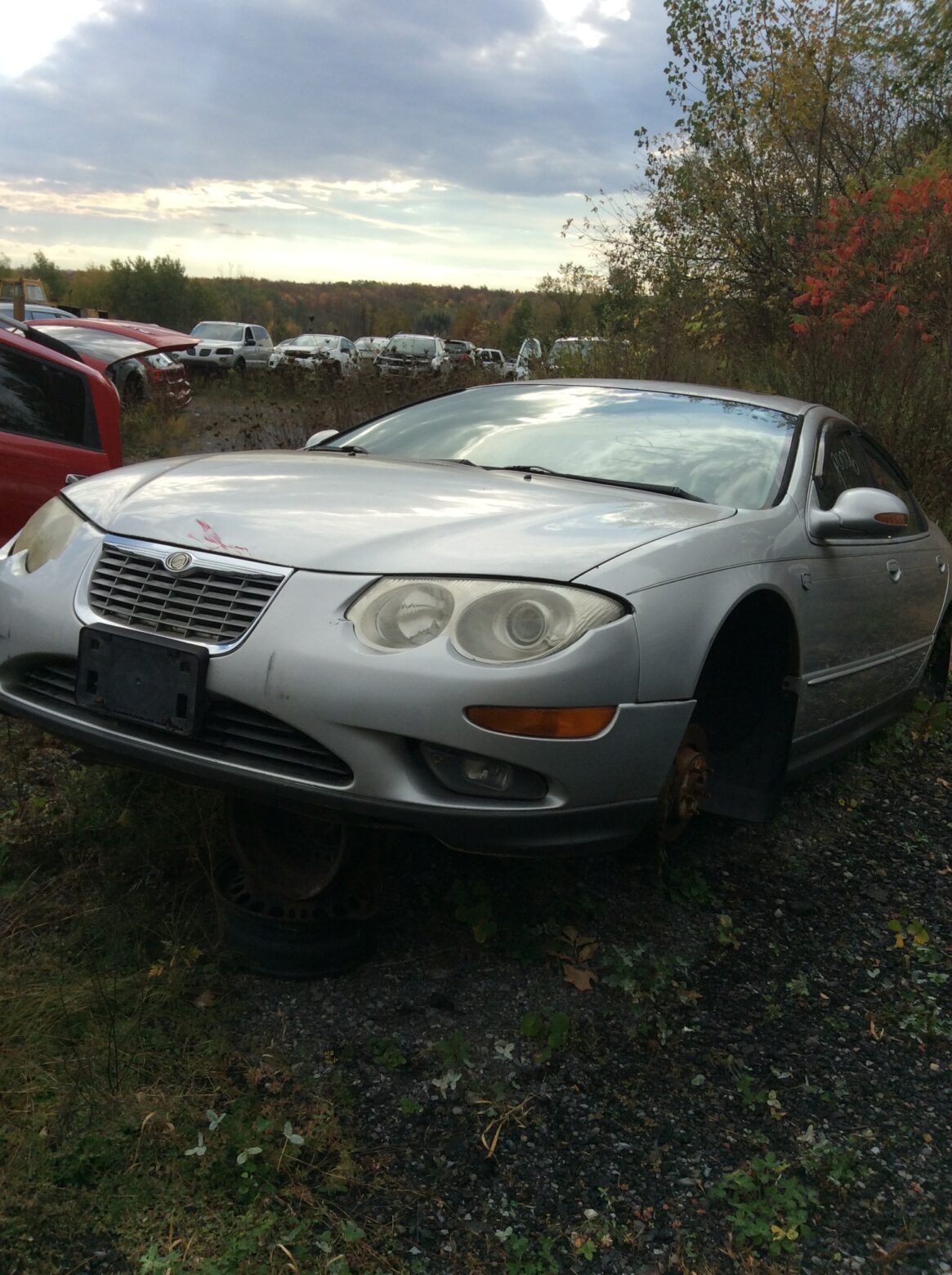 Car 36