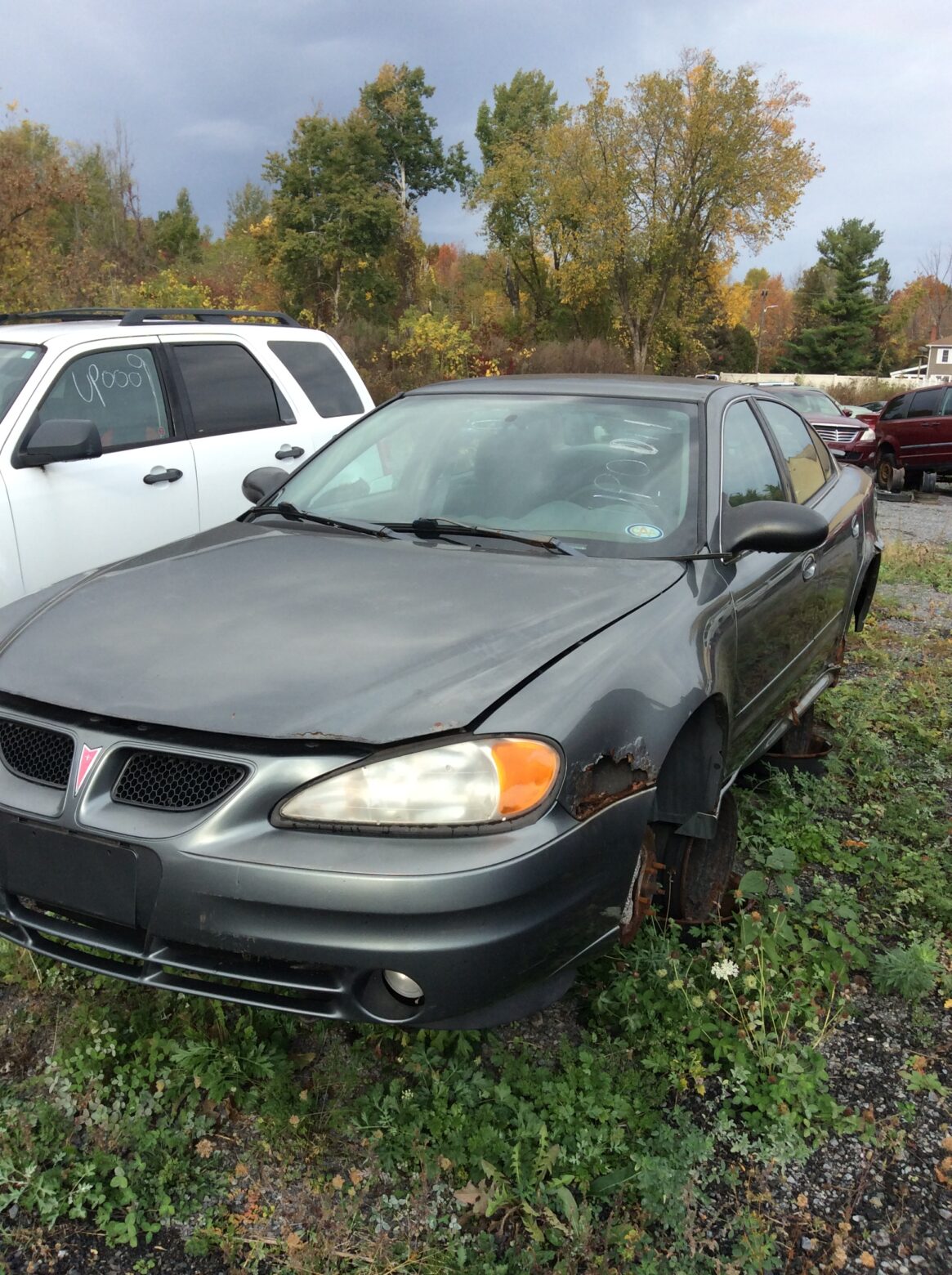Car 41