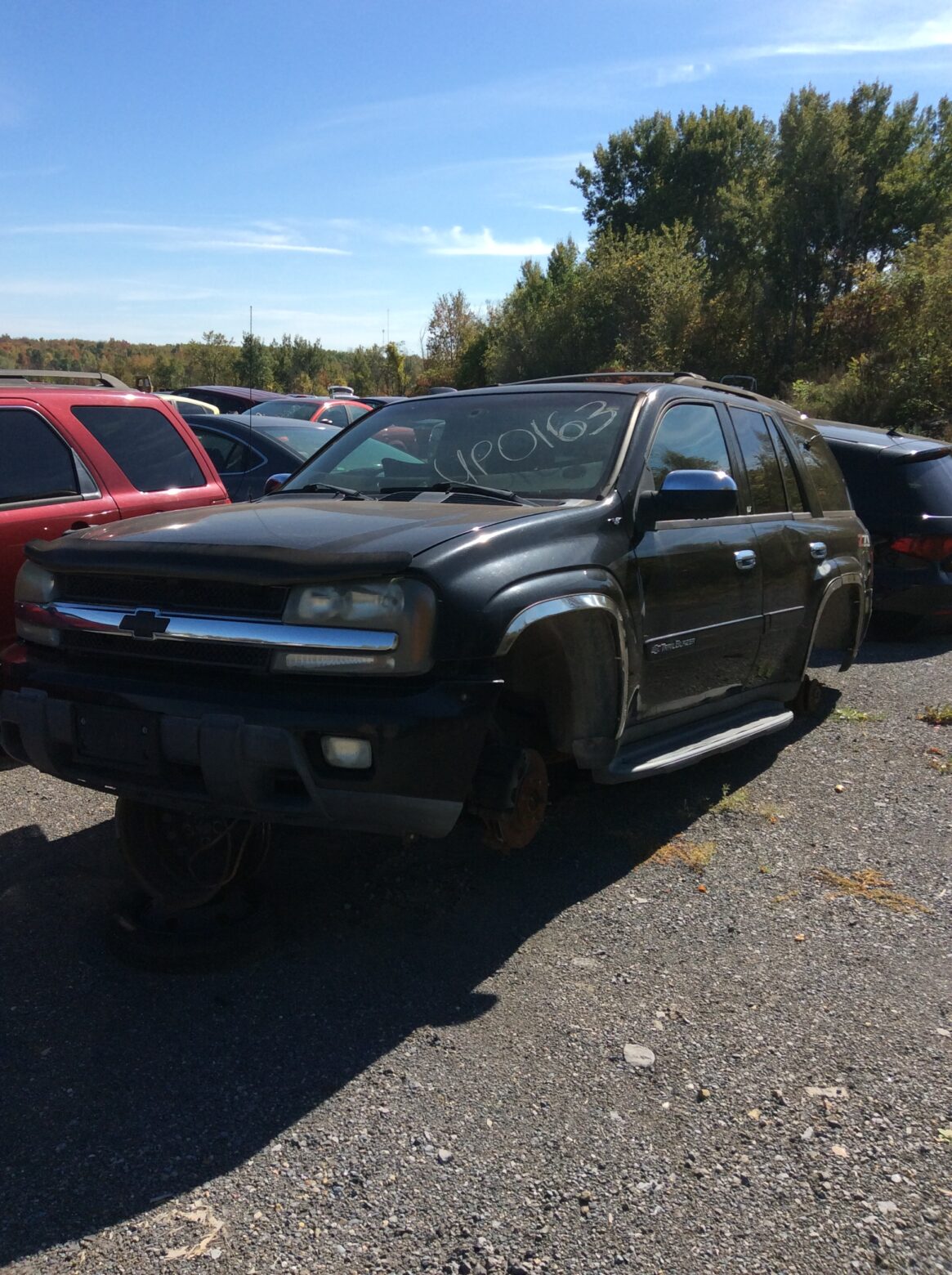 Car 203