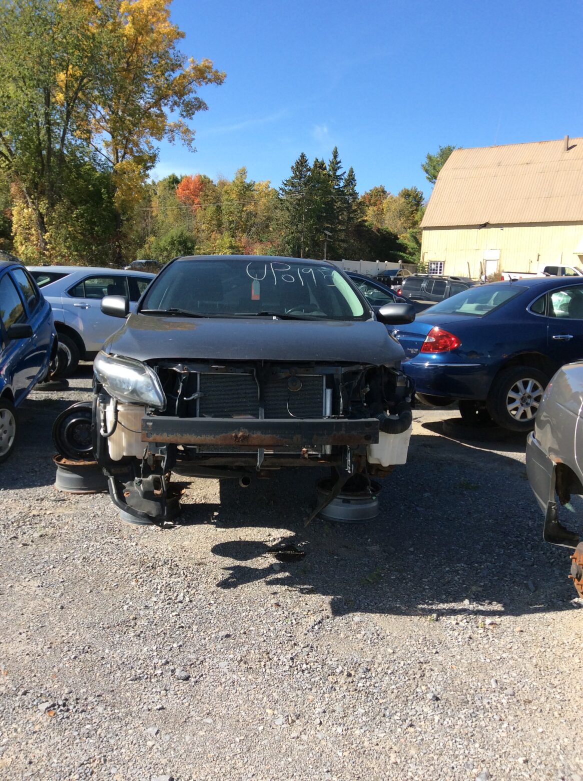 Car 234