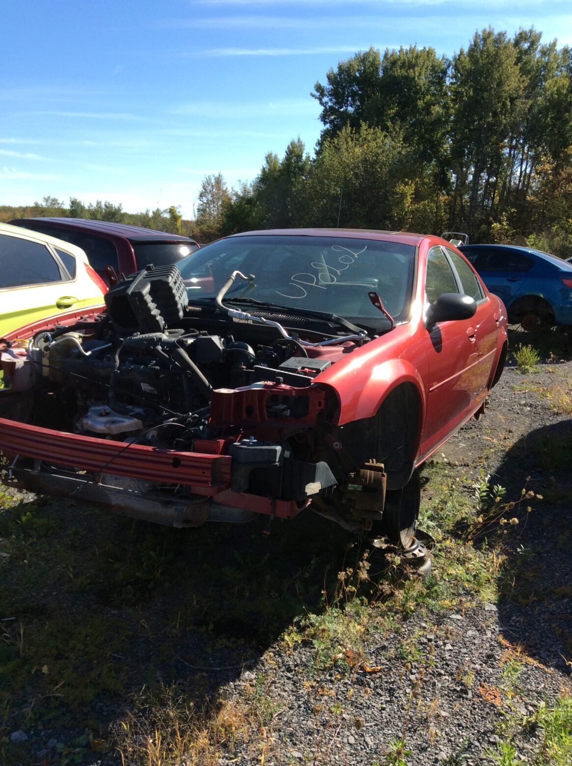 Car 239