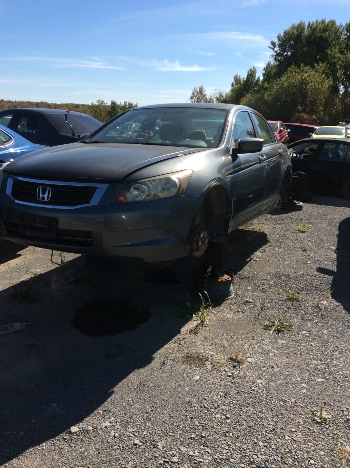 Car 243